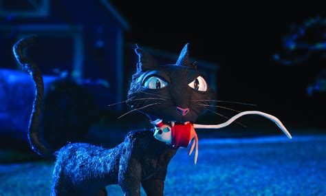 The Cat is a mysterious and intelligent character in the animated movie Coraline. He has a unique character design that resembles the Oriental Shorthair breed …